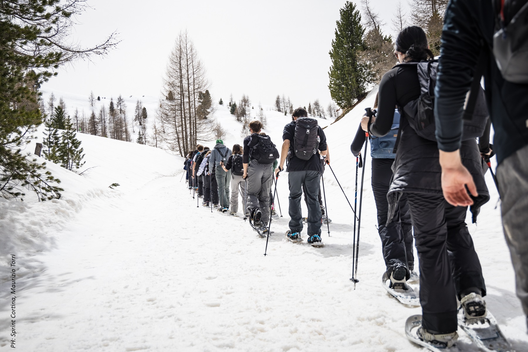 Foto Protocollo con Credits